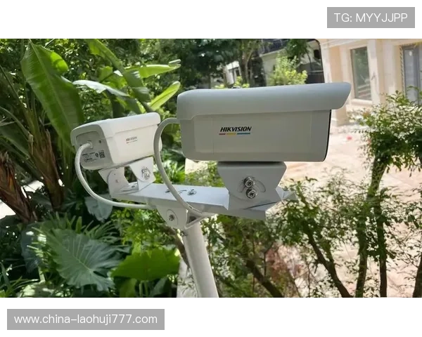 hobo电子狗功能全面升级，助你轻松避开交通拥堵和电子监控设备